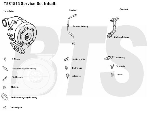 BTS TURBO Kompresors, Turbopūte T981513